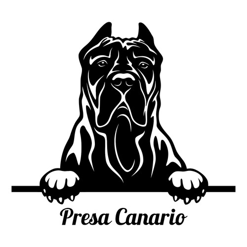 Adesivi auto dogo canario - 4,