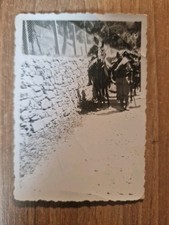 20893. Fotografia soldati militari con muli Champorcher Aosta 9x6