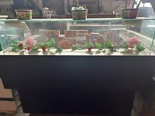 VETRINA REFRIGERATA ESPOSITIVA                                             Vetro