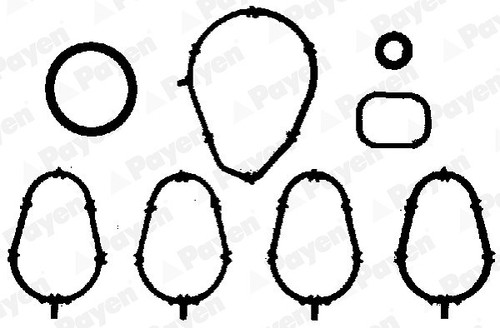 Payen kit guarnizioni - kit,