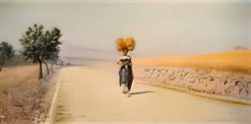 Pasquale celommi foto - celommi,