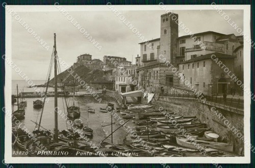 Livorno piombino punta della - livorno,