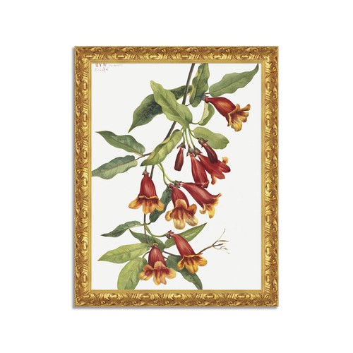 Quadro stampa tela - quadro,