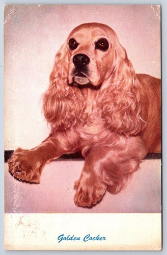 Ritratto cane vintage - ritratto, di