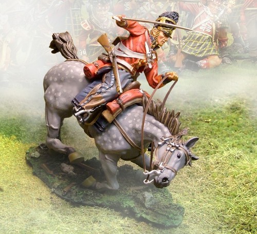 The collectors showcase - the,