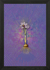 Quadro vintage crocus - vintage,