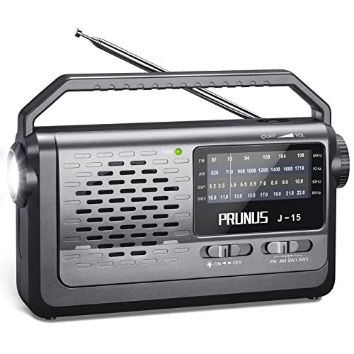 Prunus radio portatile - j-15,
