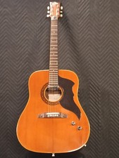 Chitarra Acustica Vintage EKO