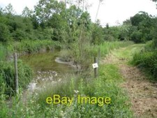 Photo 6x4 Wildlife pond near