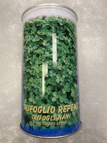 Trifoglio repens nano 500 - trifoglio,