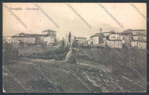 Grosseto torniella pieghine - grosseto,
