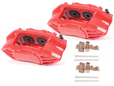 PINZE BUDWEG ANTERIORI