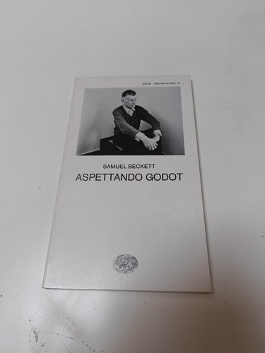Aspettando godot - godot,
