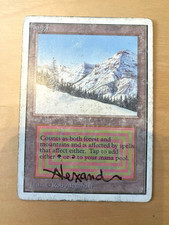 MTG Taiga Unlimited firmato PO