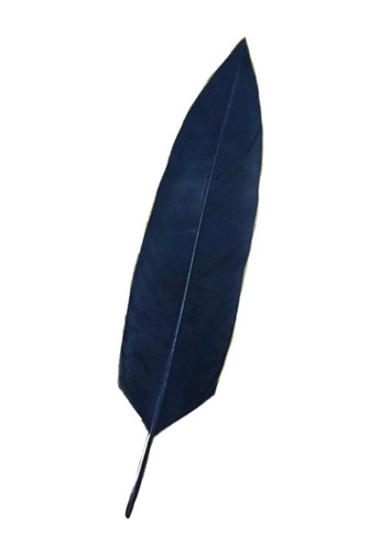 Penna aquila flex ginnica - d'aquila,