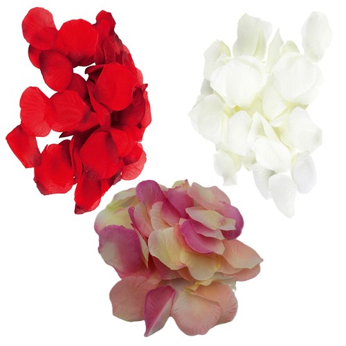 Set petali rosa - petali,