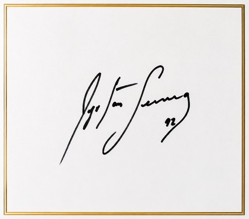 Ayrton senna autografo firmato - ayrton,