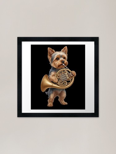 Yorkshire terrier che gioca - yorkshire,