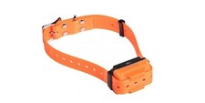 Collare arancione di