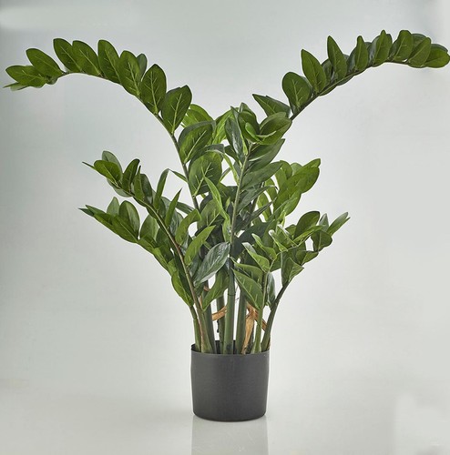 Pianta artificiale zamia - pianta,