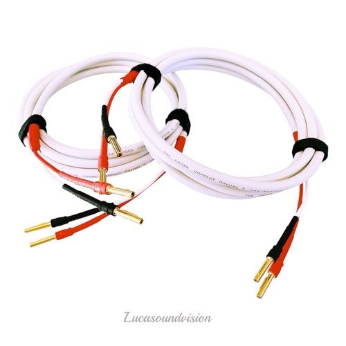 Cavo altoparlante audio chord - altoparlante,