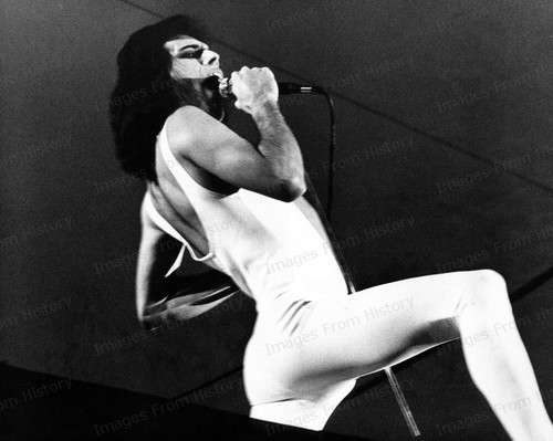 Stampa 8x10 freddie mercury - 8x10,