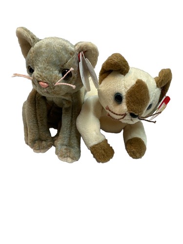 Snip siamese gatto - ty,