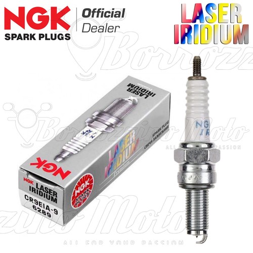 Candela originale ngk laser - candela,