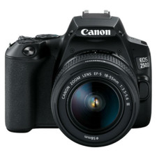Canon EOS 250D 24.1MP Fotocamera Reflex Digitale (Kit con EF-S 18-55 mm...