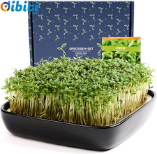 Germogliatore Con Semi Di Crescione (Nero) - Pronto All’Uso - Elegante Germoglia