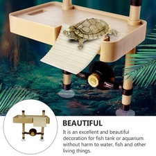  Rampa Per Tartarughe Grandi