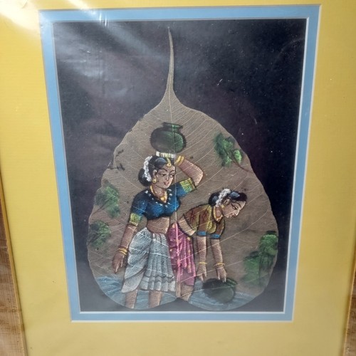 Lepakshi peepal pipal foglia - lepakshi,