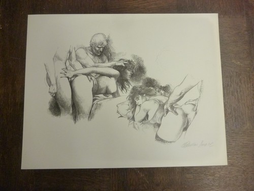 Serpieri illustration offset - serpieri,