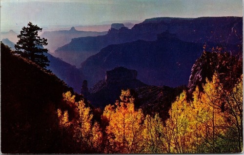 Cartolina parco nazionale - parco,