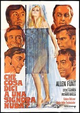CHE COSA DICI  A UNA SIGNORA