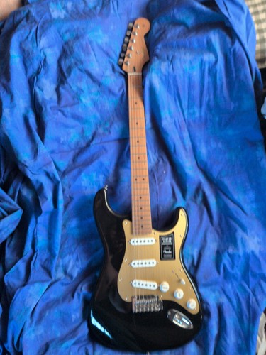 Fender stratocaster - fender,