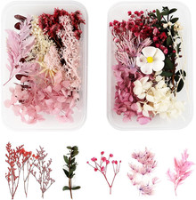 Fiori Secchi Naturali,2