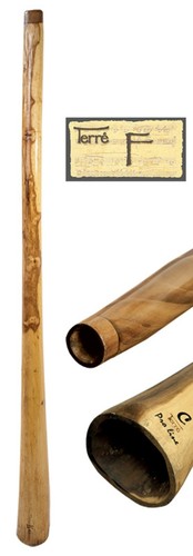 Didgeridoo eucalipto prolina - didgeridoo,