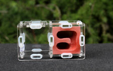 Nuovo nido di formiche regina