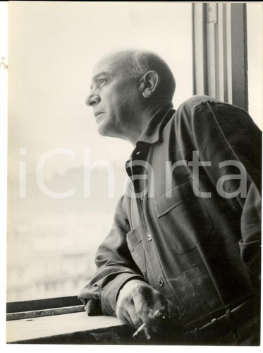 1960 roma ritratto del - ritratto,