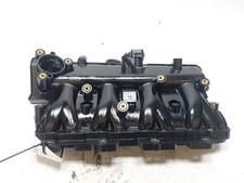 55231286 COLLETTORE