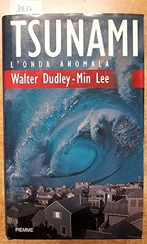 Tsunami onda anomala - tsunami., l'onda