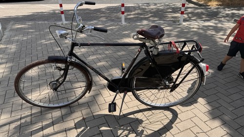 Gazelle populair bicicletta - gazelle,