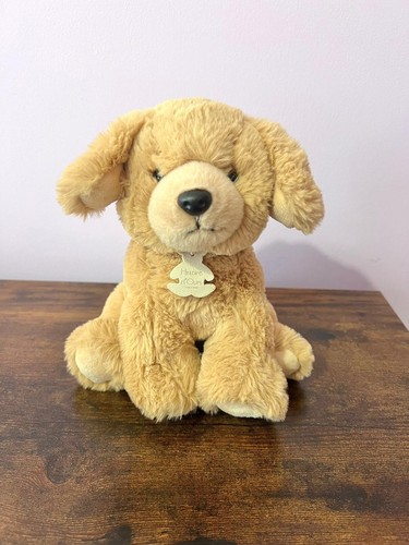 Histoire ours cane peluche - histoire,