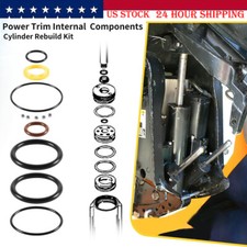 813432A3 Trim Tilt Cylinder