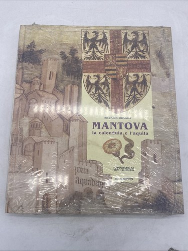 Riccardo braglia mantova - mantova, la