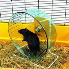Nobby Rotolo per criceti Rolly