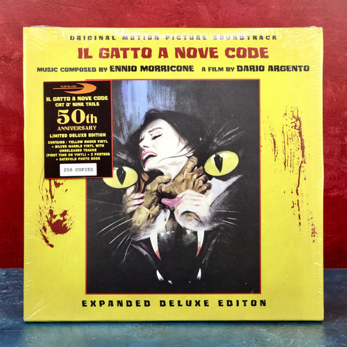 Gatto nove code 2 - gatto,