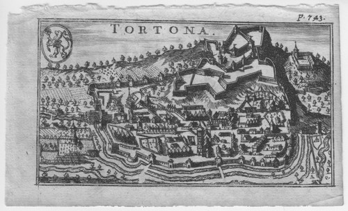 Tortona rarissima - tortona, (pavia)