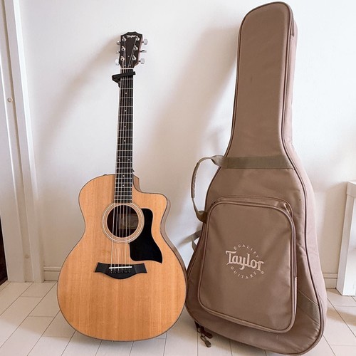 Taylor 114ce borsa - , e